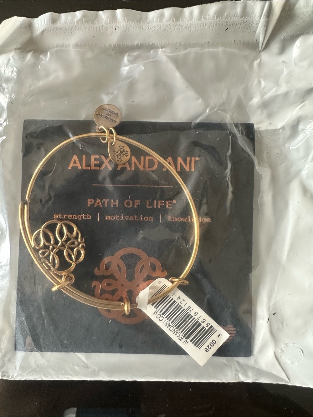 Alex and Ani Gold Path of Life Charm Bangle